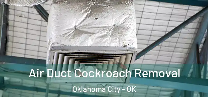 Air Duct Cockroach Removal Oklahoma City - OK