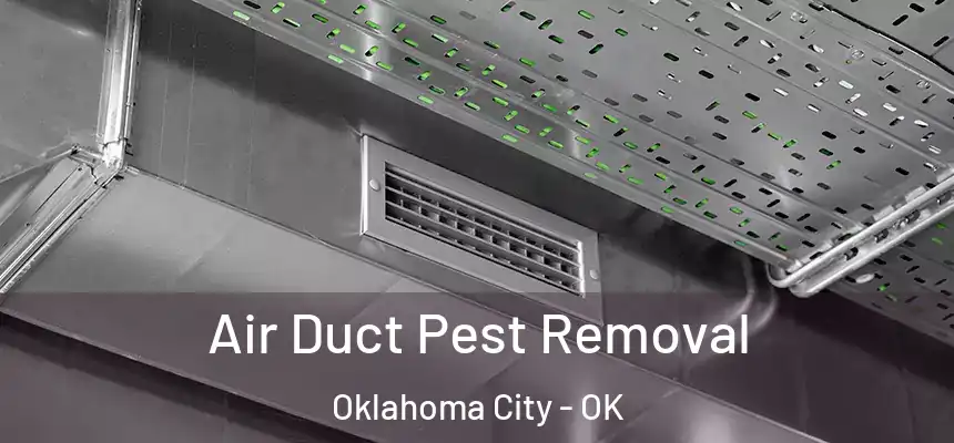 Air Duct Pest Removal Oklahoma City - OK