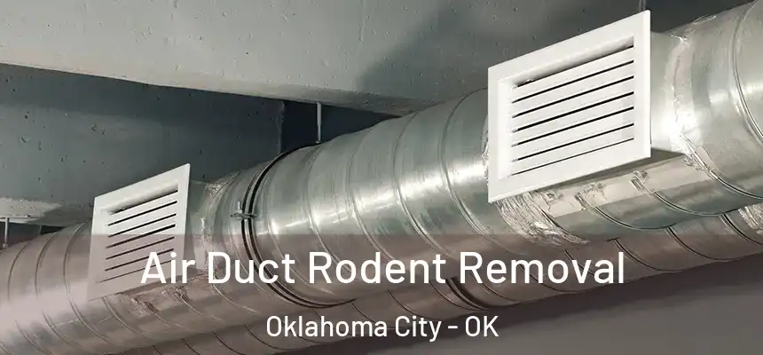 Air Duct Rodent Removal Oklahoma City - OK