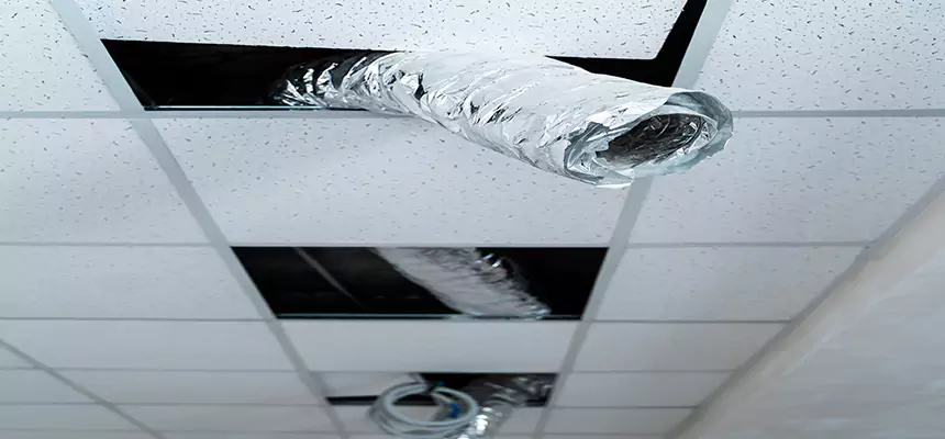 Affordable HVAC Sanitizing After Pest Removal in Oklahoma City