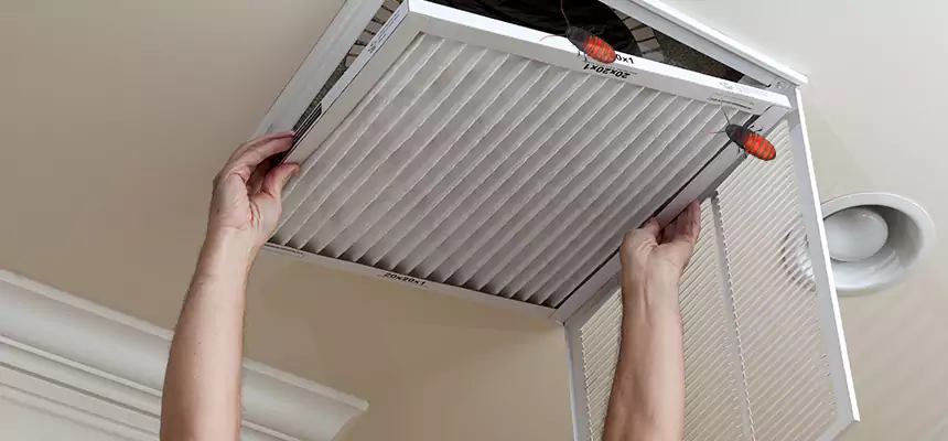 Our Insect Removal from Air Ducts Services in Oklahoma City, OK