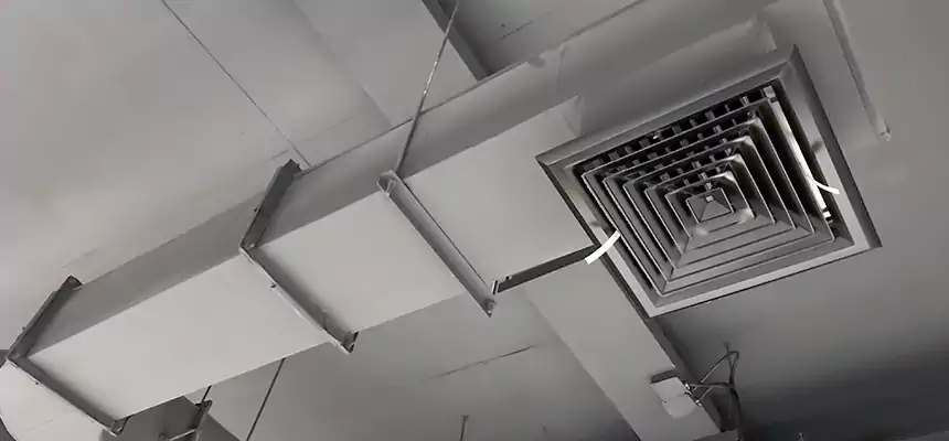 Our Pest Removal From Ducts Services in Oklahoma City, OK