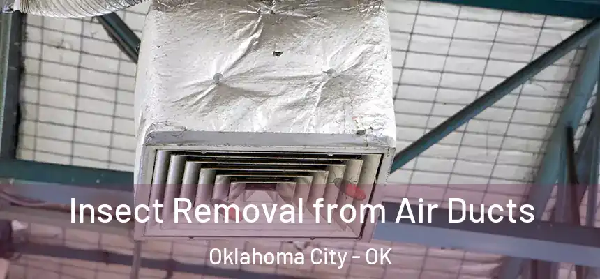  Insect Removal from Air Ducts Oklahoma City - OK