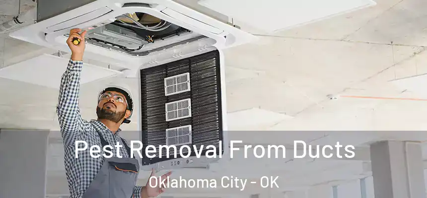 Pest Removal From Ducts Oklahoma City - OK