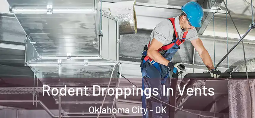 Rodent Droppings In Vents Oklahoma City - OK