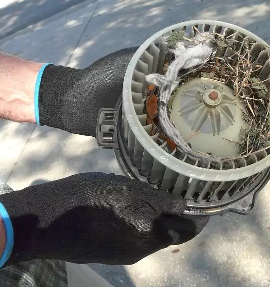 About Air Duct Rat Removal in Oklahoma City, OK