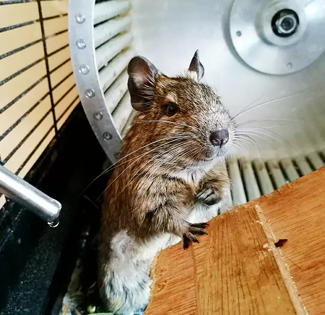 Why Homeowners & Businesses Trust Us Oklahoma City, OK?