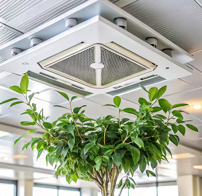 Why Homeowners & Businesses Trust Us in Oklahoma City, OK